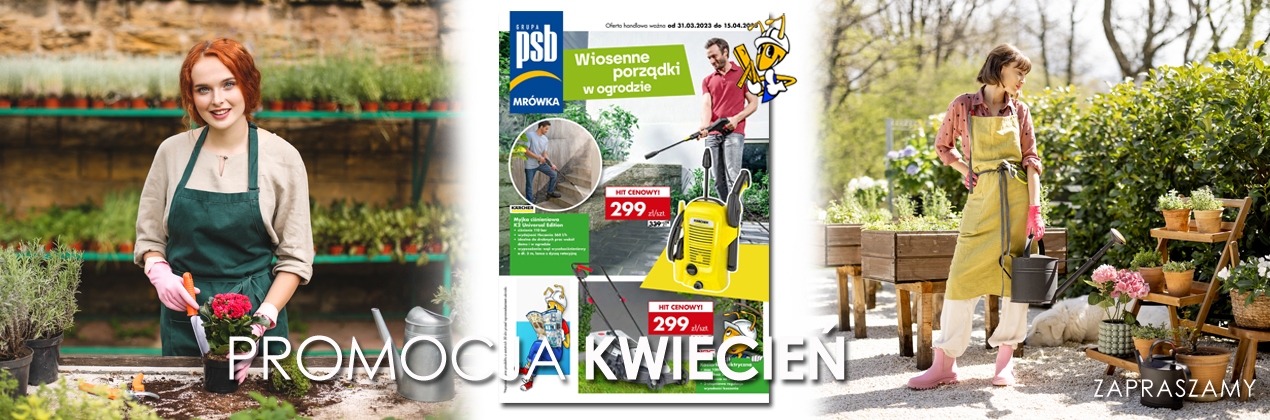 zdjęcie na stronie głównej